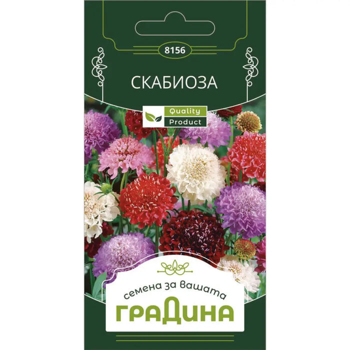 СЕМЕНА СКАБИОЗА ГРАДИНА