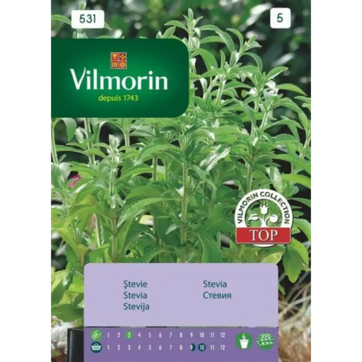 СЕМЕНА СТЕВИЯ