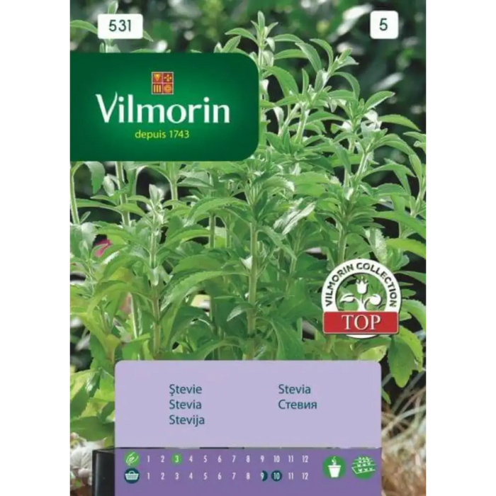 СЕМЕНА СТЕВИЯ