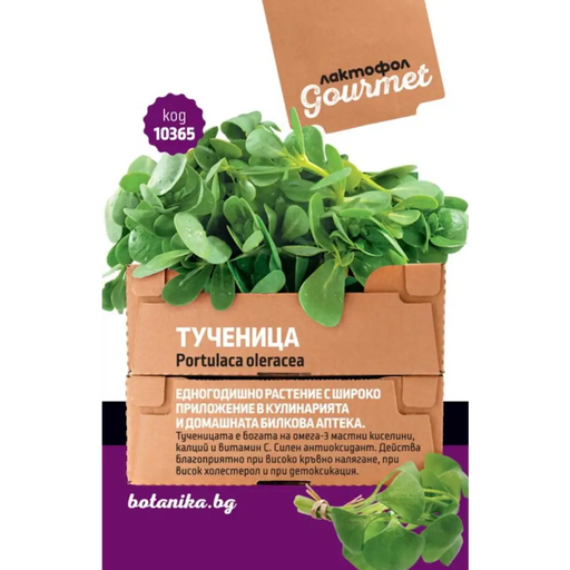 СЕМЕНА ТУЧЕНИЦА ГУРМЕ