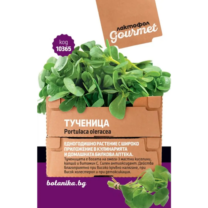 СЕМЕНА ТУЧЕНИЦА ГУРМЕ