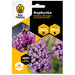 СЕМЕНА ВЪРБИНКА BEE HAPPY