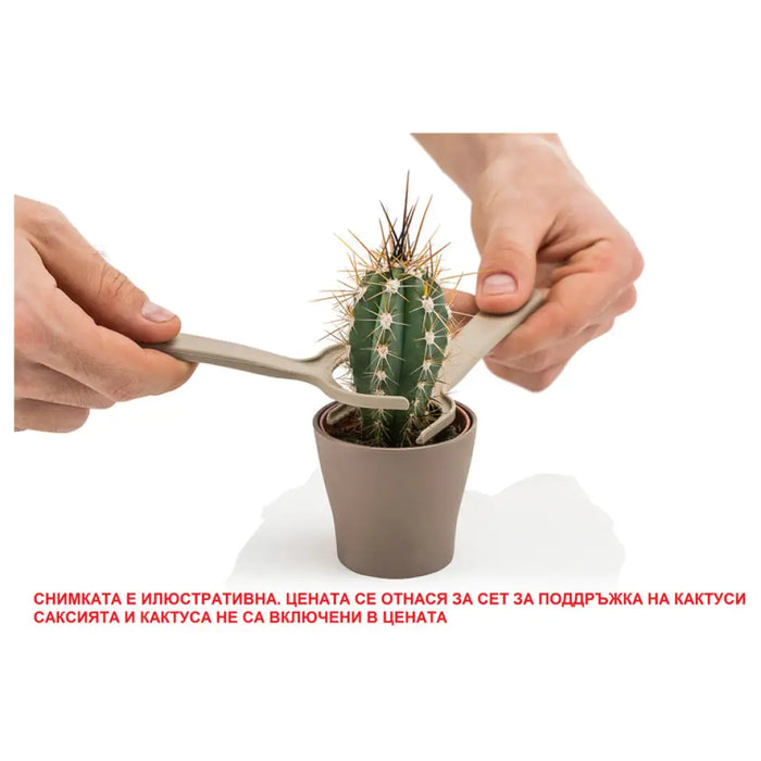 СЕТ ЗА ПОДРЪЖКА НА КАКТУС HD