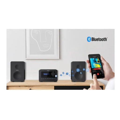 Sharp Audio Systems XL-B514(BK) HI-FI MICRO SYSTEM 40W