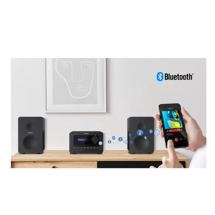 Sharp Audio Systems XL-B520D(BK) HI-FI MICRO SYSTEM 40