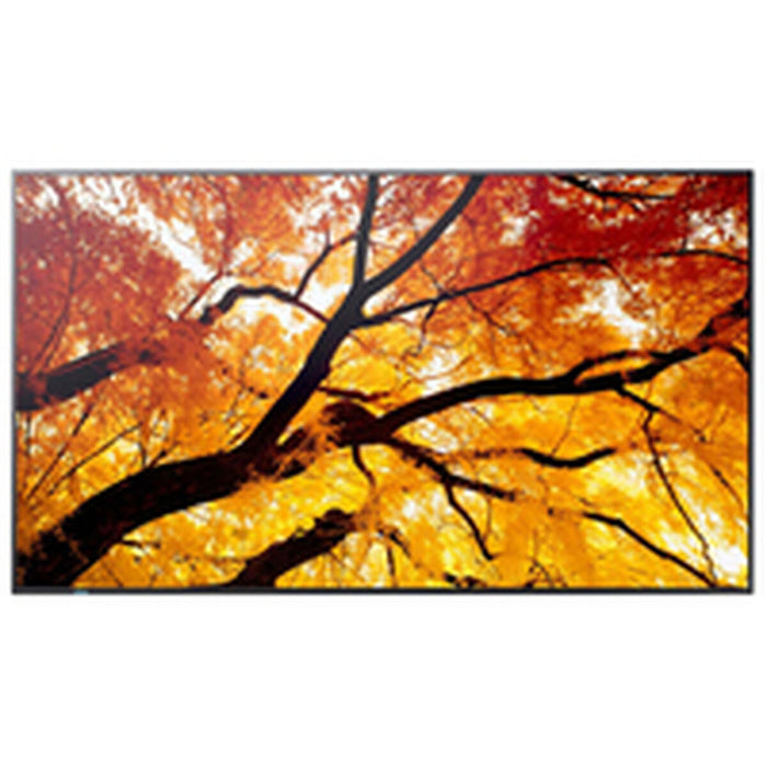 Монитор Videowall Sharp 60006057 4K Ultra HD 74,5"