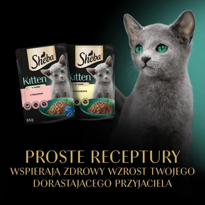 SHEBA Kitten Selection of Flavors in Sauce - мокра храна