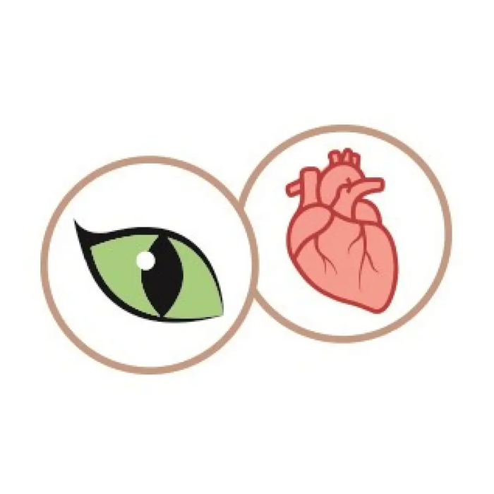 SHELMA Богато на пуешко в сос - мокра храна за котки - 85гр