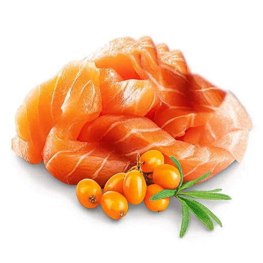 SHELMA Kitten със сьомга в сос - мокра котешка храна - 85гр