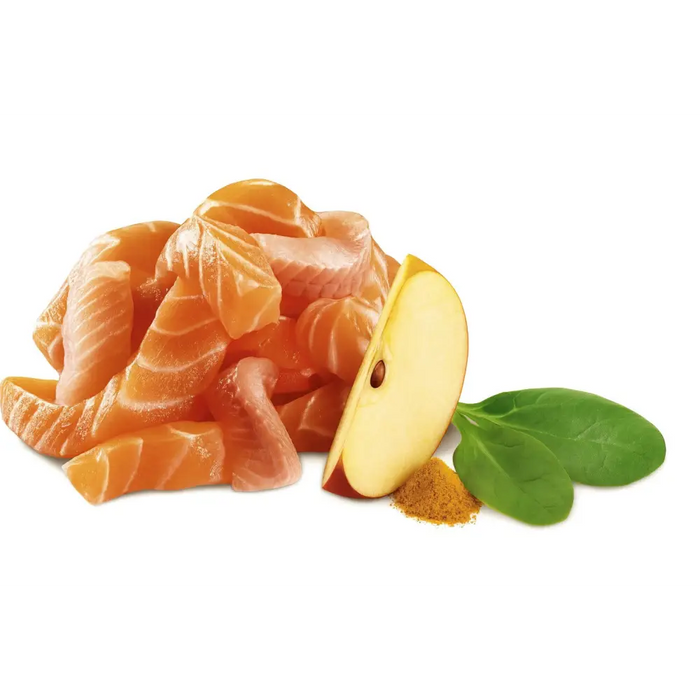 SHELMA Пастет от сьомга и бяла риба - мокра храна за котки