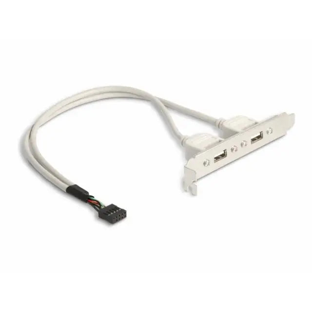 Скоба Delock За монтаж в PC USB 10 pin към