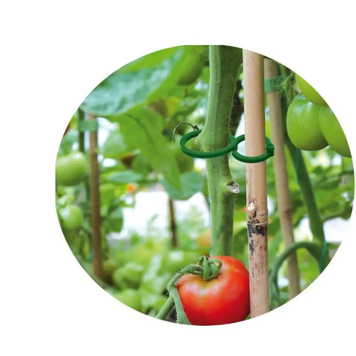 СКОБИ ЗА РАСТЕНИЯ 40БР 2 РАЗМЕРА TYK29