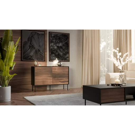Скрин Cama CORTINA 1D3S 120x40x81 черен/орех
