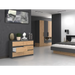 Скрин Topeshop M6 120 ANTRACYT/ART