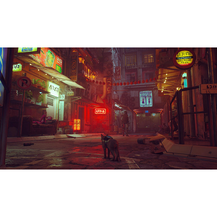 Игра Stray (NSW)