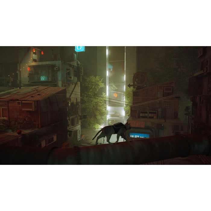 Игра Stray (NSW)