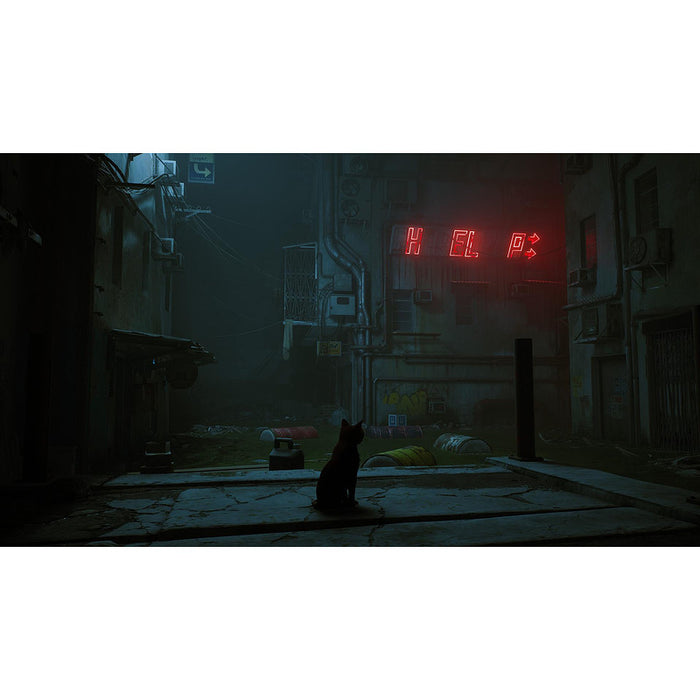 Игра Stray (NSW)