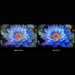 Смарт телевизор Xiaomi MINILED 2025 LED 4K Ultra HD 75’’