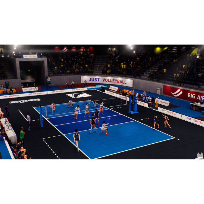Видеоигра PlayStation 4 Sony PS4VOLLEYSPPT