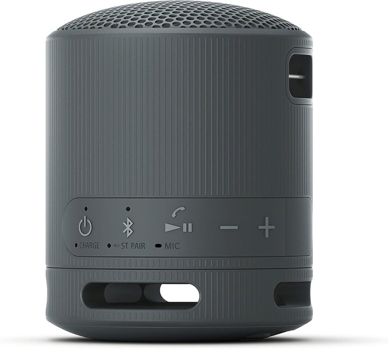 Тонколона Sony SRS-XB100B