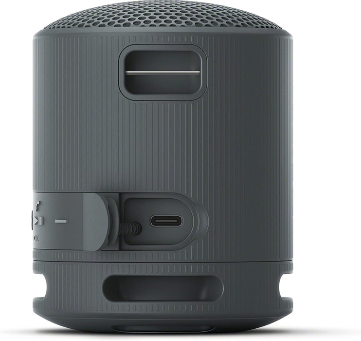 Тонколона Sony SRS-XB100B