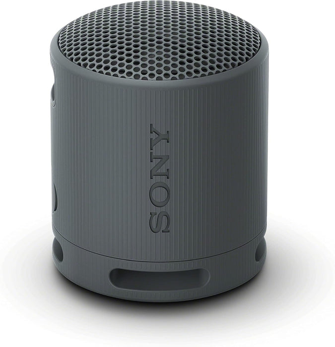 Тонколона Sony SRS-XB100B