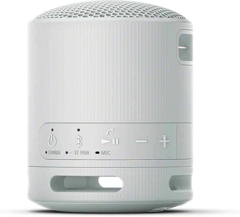 Тонколона Sony SRS-XB100H
