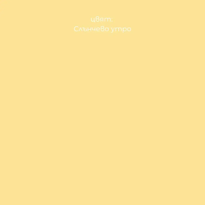 СРЕБЪРНИ ЙОНИ СЛЪНЧЕВО УТРО 2.5 L LEKO