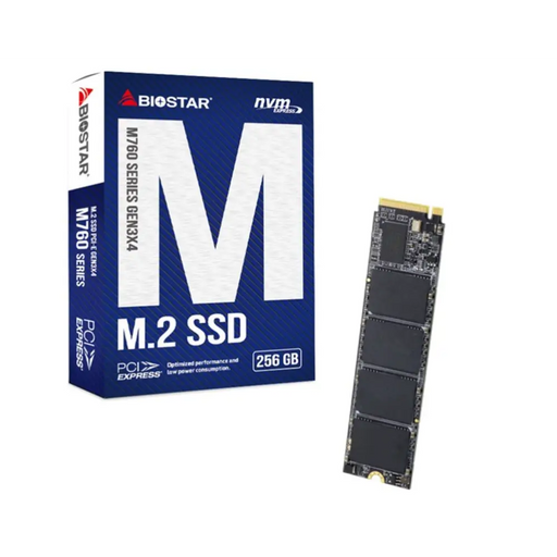 SSD Biostar M760 256GB