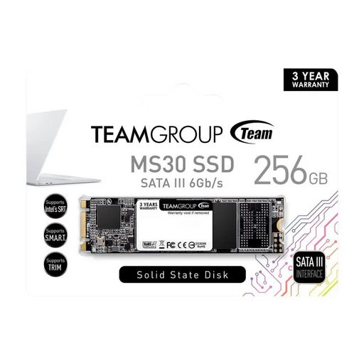 SSD Team Group MS30 M.2 2280 256GB SATA III