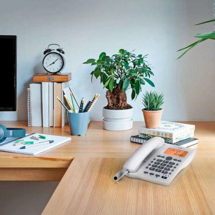 Стационарен телефон SPC Internet 3612B Бял