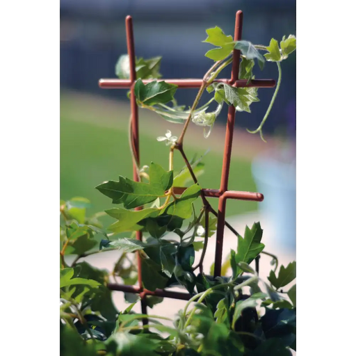 СТЪЛБИЧКА ЗА ЦВЕТЯ 67СМ КАФЯВА