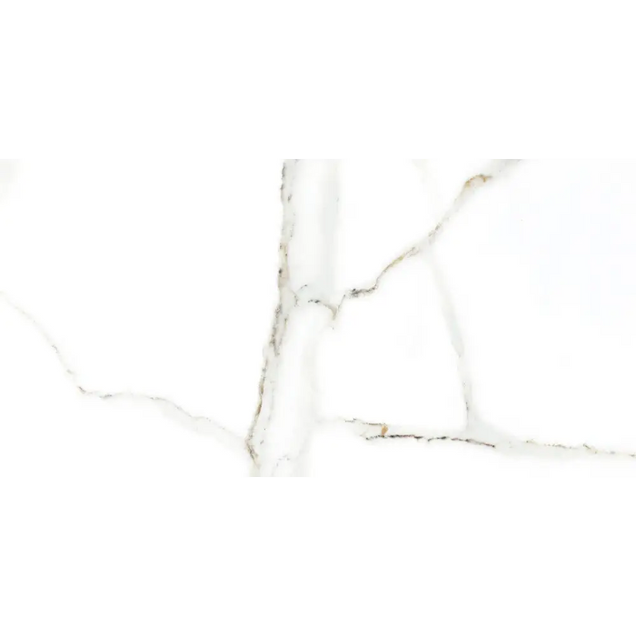 СТЕННА ПЛОЧКА 25X50 ДЕЛФИ БЯЛА