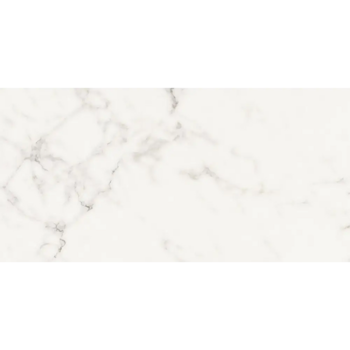 СТЕННА ПЛОЧКА 29.8Х59.8 SILVER WISH
