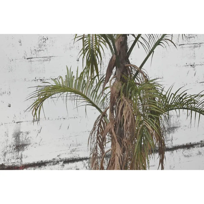 Стенно огледало Home ESPRIT Зелен Златен Колониален 60 x 4