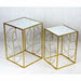 Стенно огледало DKD Home Decor Златен Лист на растение 71 x