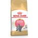 Суха храна за котки Royal Canin British Shorthair Kitten 2