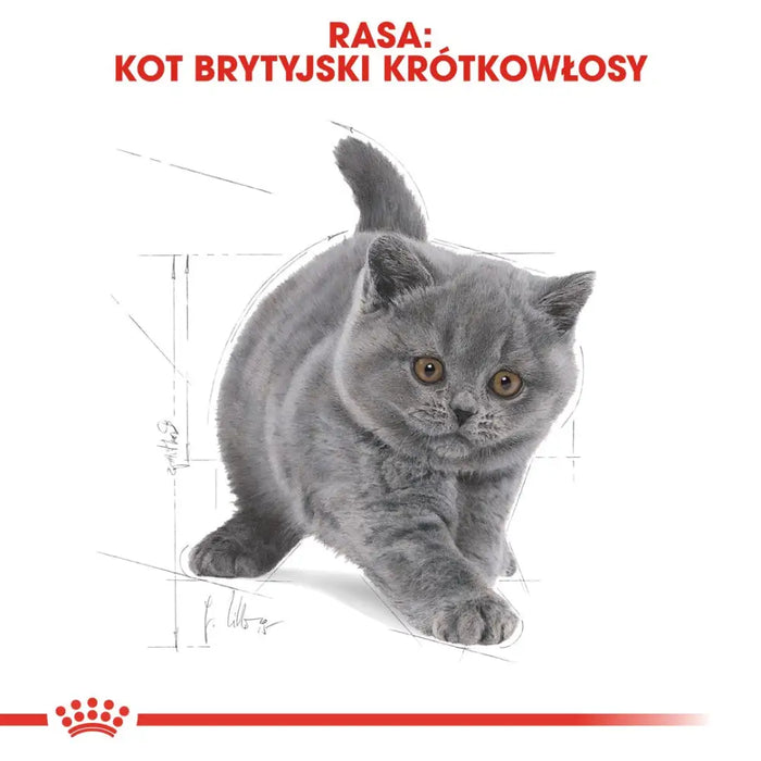 Суха храна за котки Royal Canin British Shorthair Kitten 2