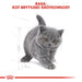 Суха храна за котки Royal Canin British Shorthair Kitten 2