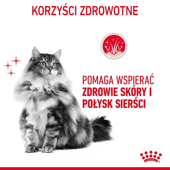 Суха храна за котки Royal Canin Hair & Skin Care 4 кг