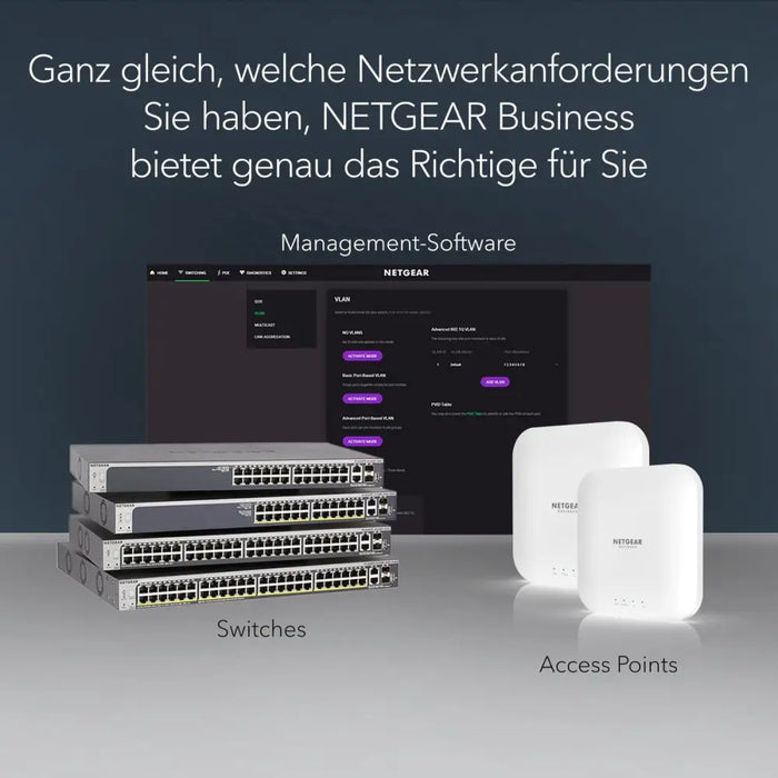 Суич Netgear GS116-300EUS
