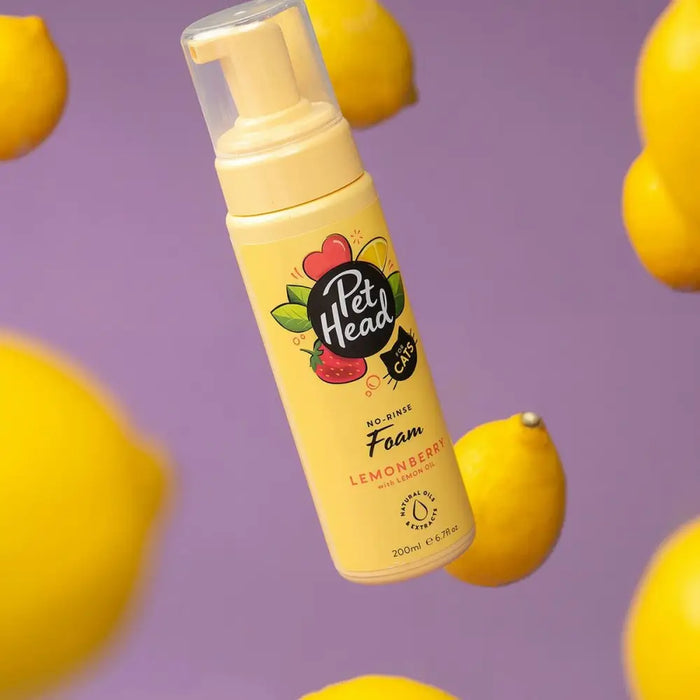Сух Шампоан Pet Head Felin’ Good Пяна Котка (200 ml)