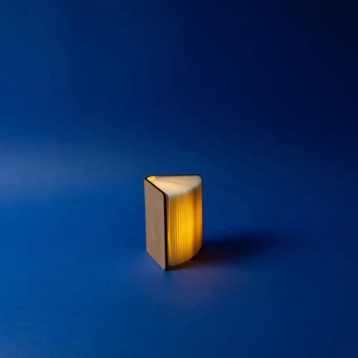 СВЕТЕЩА КНИГА 8.5X12CM 8LED EUROLAMP 14421