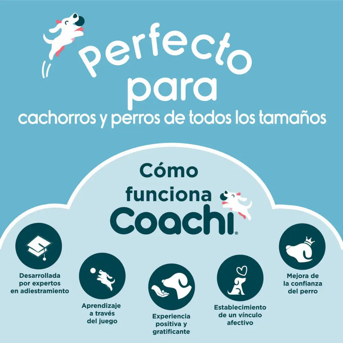 Свирка Coachi