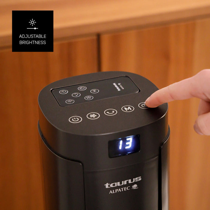 TAURUS BABEL II RCH (FA009D) ЧЕРЕН, ТАЙМЕР, 50.0 W