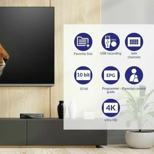 TDT тунер STRONG SRT 8250