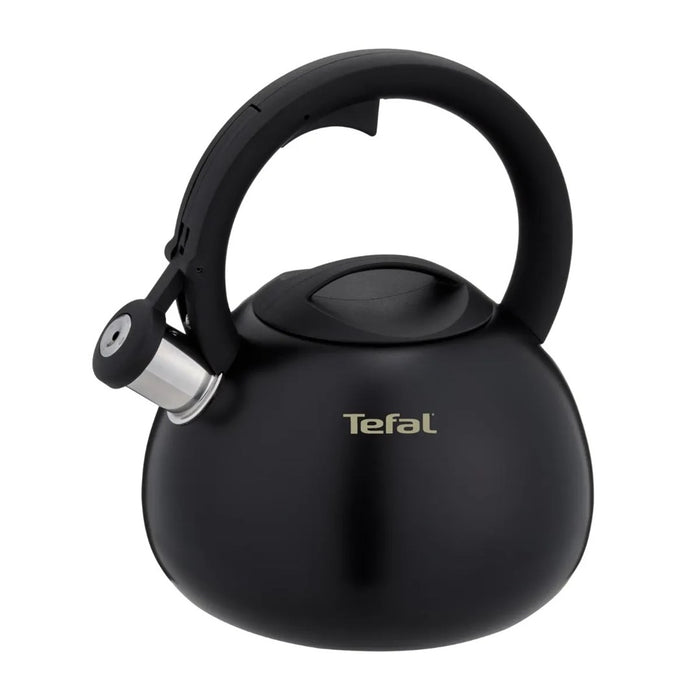 Ниеелектрически часовник TEFAL N4180410