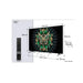 Телевизор TCL 75C69K Mini LED 75 inch 189 см 3840x2160