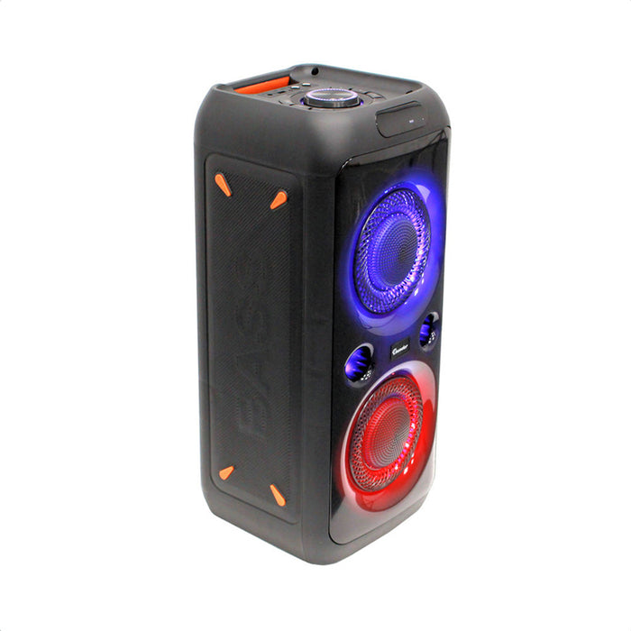 Аудио система THUNDER THS-B822