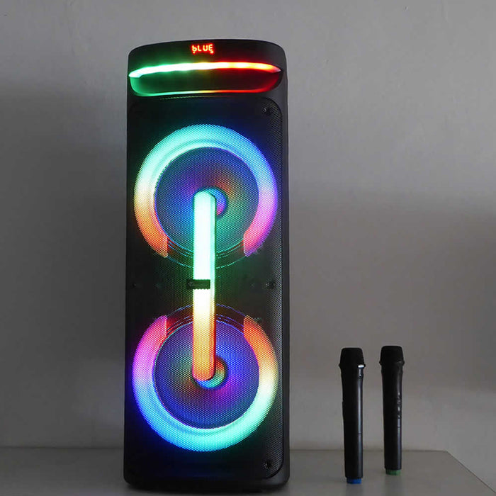 Аудио система THUNDER THS-B1021
